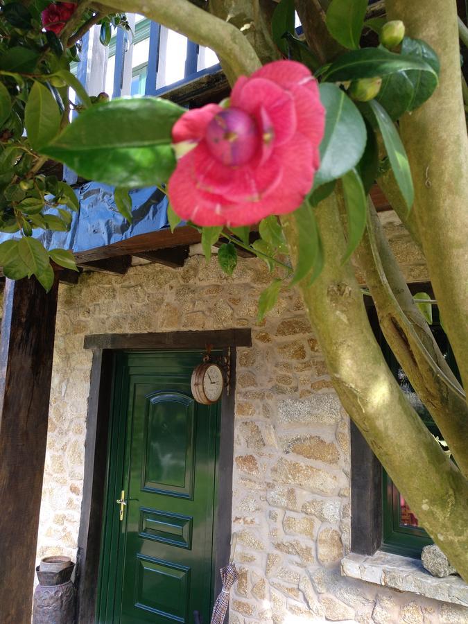 Mar Y Montana Guest House Ферол Екстериор снимка